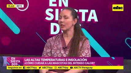 ¿Cómo cuidar a las mascotas del intenso calor?