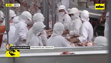 Taiwán abre mercado a carne porcina