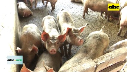 Taiwán habilitó a Paraguay para exportación de carne de cerdo