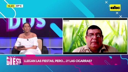 Llegan las fiestas, pero...¿Y las cigarras?