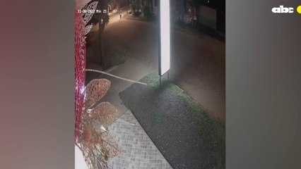 Un “Grinch” En Concepción Se Roba Los Adornos Navideños