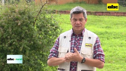 Congreso CEA sobre manejo de la etapa de cría en bovinos