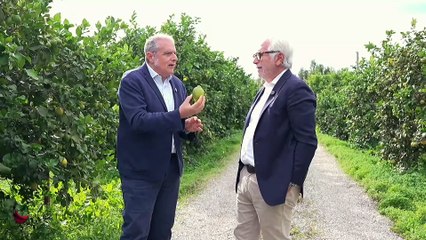 Buona Terra – Puntata del 2 dicembre 2025 | Cibo, vino e storie di Sicilia