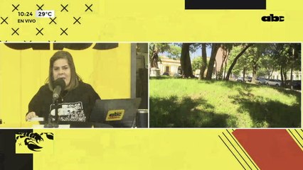 El verde vuelve a las plazas céntricas