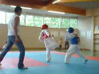TAEKWONDO ASSOCIATION MAITRE KIM