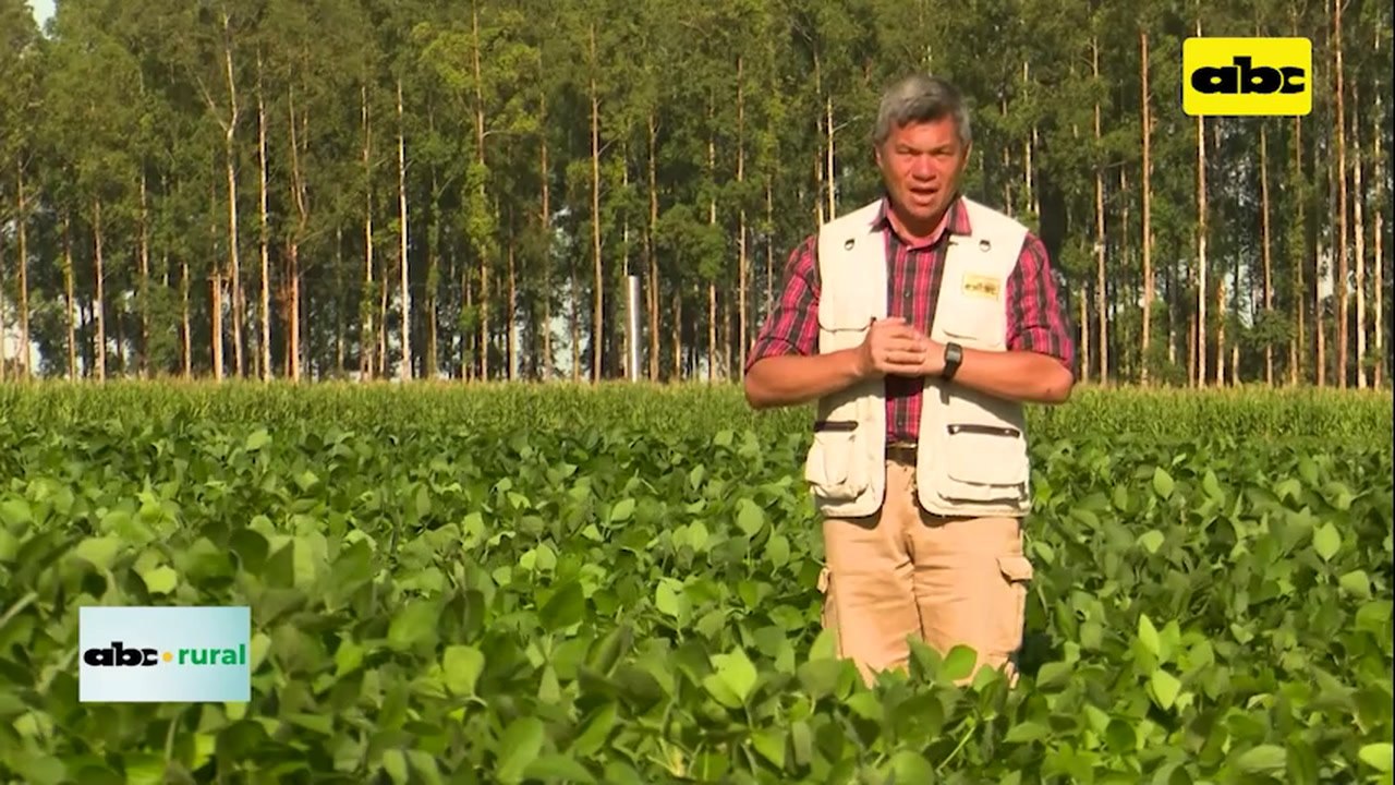 Productor hace agricultura, forestal, leña, car...