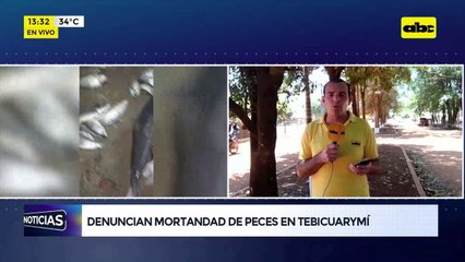 Denuncian mortandad de peces en Tebicuarymí