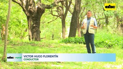 Cultivo de soja convencional, historia y manejo en Yguazú, A. Paraná