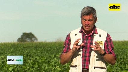 Nutrición de vacas gestantes y su impacto en la vida del ternero