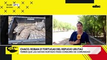 Roban 21 tortugas del Refugio Urutaú