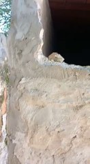 Denuncian Profanación Y Hurto De Cuerpos Del Cementerio De Areguá