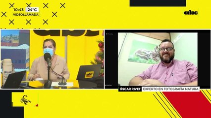 Fotógrafo captó al icónico pájaro campana