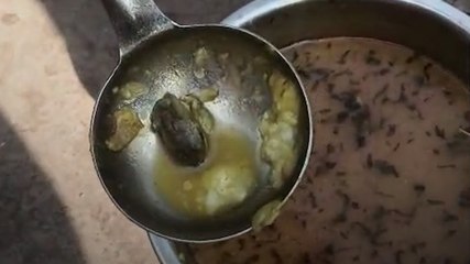 मिड-डे-मील की सब्जी में निकला मेंढक