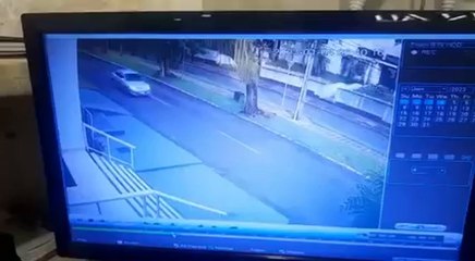 Árbol cae sobre motociclista en Ciudad del Este