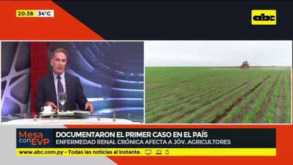 Enfermedad renal crónica