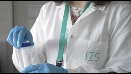 La Rete IZS come presidio essenziale di prevenzione One Health