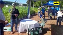Jornada de Campo de soja en SEM-AGRO 2023