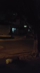 Polución sonora en barrio San Vicente