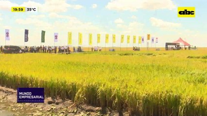 Jornada de campo de Tío Nico