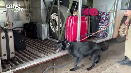 Operação CODESUL é lançada em Cascavel com reforço policial e primeira apreensão