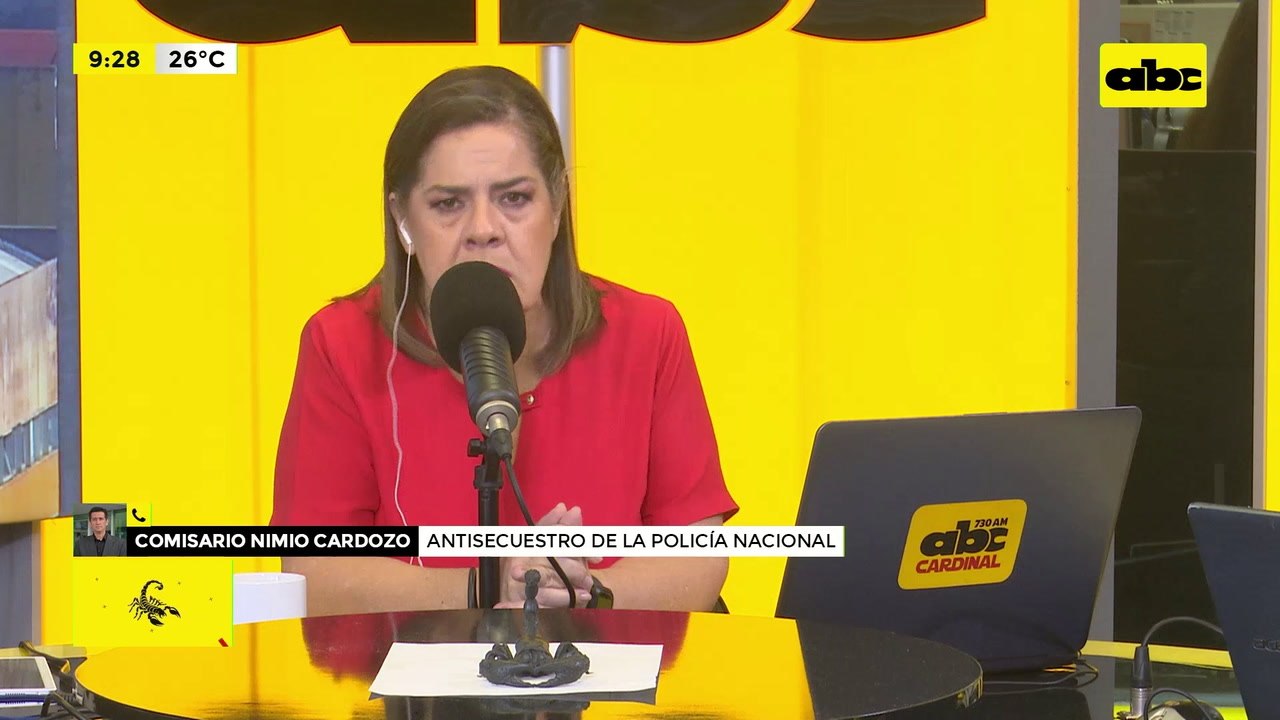 Robo y caída de una avioneta en Resistencia