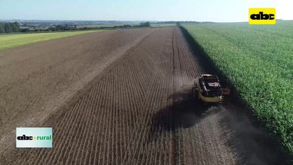 Paraguay bajo 2 lugares como en ranking mundial de soja