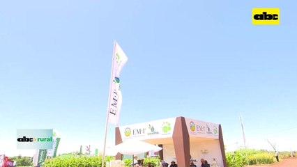 Microorganismos eficaces (EM) van ganando espacio en Itapúa