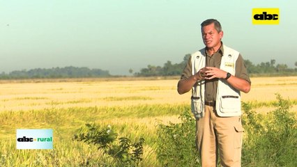 Humidificador para invernaderos, características y ventajas