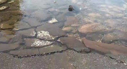 Encarnación: Pérdida de Essap forma un arroyo en calle de la feria municipal, ante inacción de autoridades