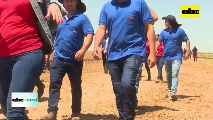 Cultivos en campos bajos Arroz Tio Nico y tecnología de cosecha