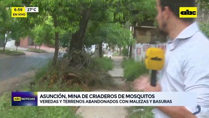 Asunción, mina de criaderos de mosquitos