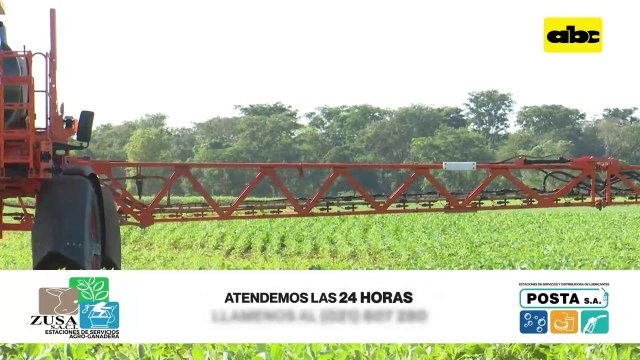 Intacta 2 xtend, la nueva tecnología dentro de las semillas de soja