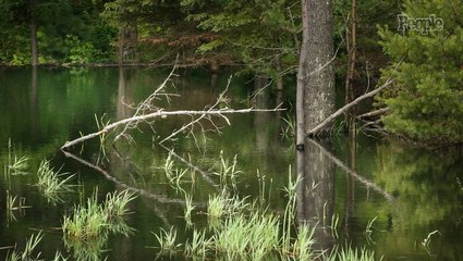 Skeletal Remains Found in Drained Swamp Nearly 35 Years Ago Identified as Man Who Disappeared in 1976