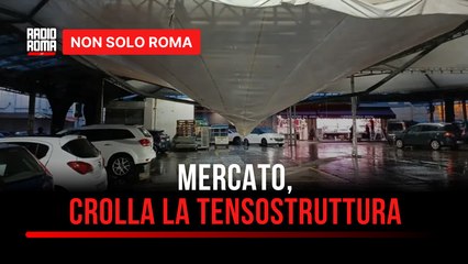 Mercato di Civitavecchia, crollata una parte della tensostruttura a cause delle piogge