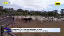 Vacunación contra la fiebre aftosa