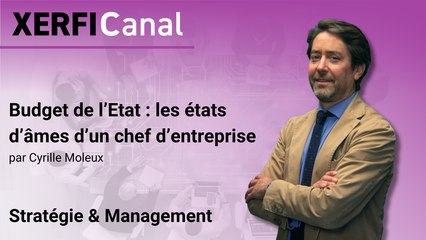 Budget de l’Etat : les états d’âmes d’un chef d’entreprise [Cyrille Moleux]