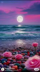 دعاء جميل يريح النفس