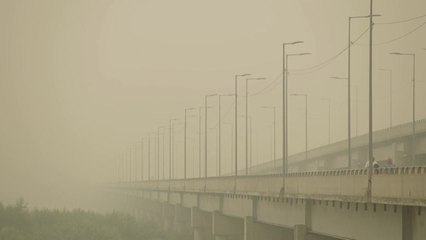 Incendios Arrasan Regiones De Chile