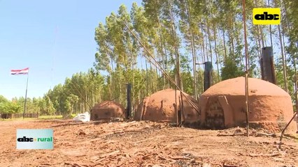 Producción de ácido piroleñoso para su uso en agricultura extensiva