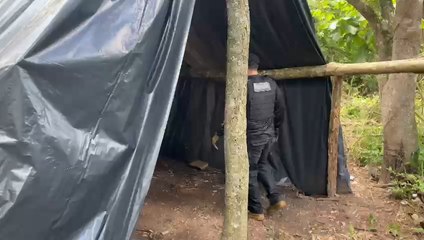 Senad incauta casi siete toneladas de marihuana en Concepción