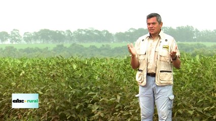 Evaluación de sistema mamario de vaca de primer parto