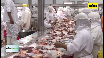 Apertura de EEUU y Canadá a carne Paraguaya estaría cerca