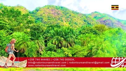 Rodon Tours _ National Parks In Uganda