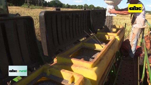 Video: uso eficiente de fertilizantes químicos para mayor producción