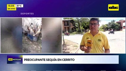 Video: Preocupante sequía en Cerrito
