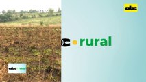 Jacto y sus novedades en Show Rural Coopavel, y estará en Innovar 2023