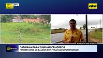 Video: Campaña para eliminar criaderos