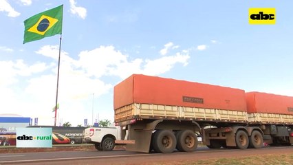 Raza bovina Puruna presente en Show Rural Coopavel