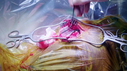 trauma room one s02e07