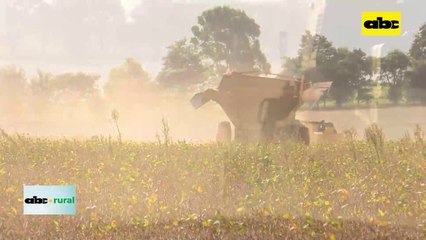 Soja convencional y su manejo a la hora de la cosecha